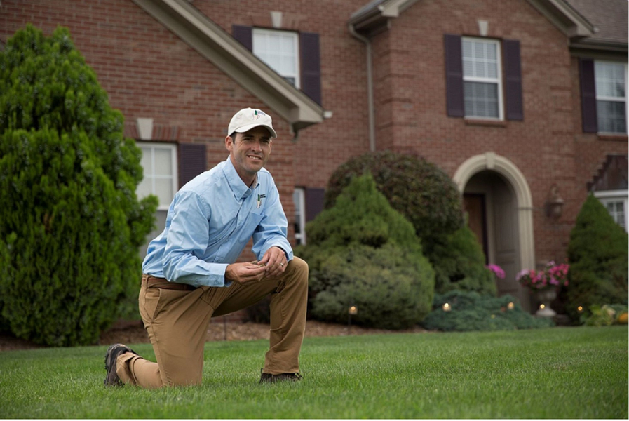 Cover photo of Lawn Doctor of North County Coastal